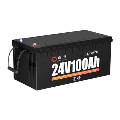 Lvwo -24 v 25.6v 100Ah LifePo4 Lithium Battery
