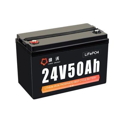 Lvwo -24 v 25.6v 50Ah LifePo4 Lithium Battery